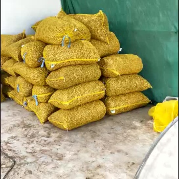 鲜花生！四粒红！两仁白仔