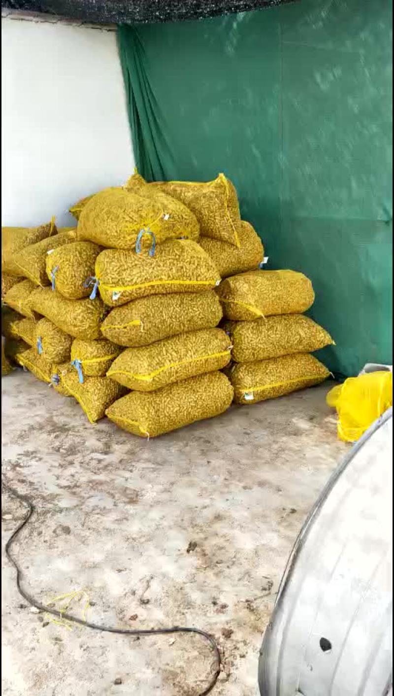 鲜花生！四粒红！两仁白仔