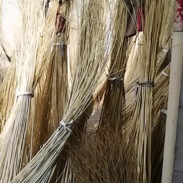 柳条