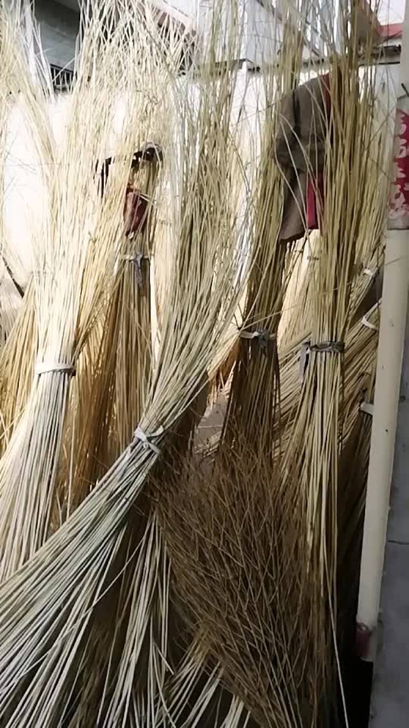 柳条
