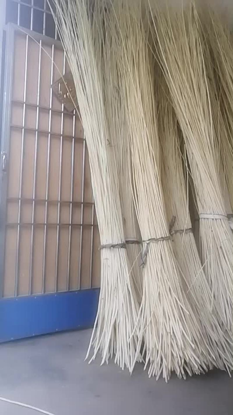 柳条