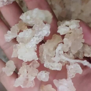 缅甸特级拉丝雪燕产地直销