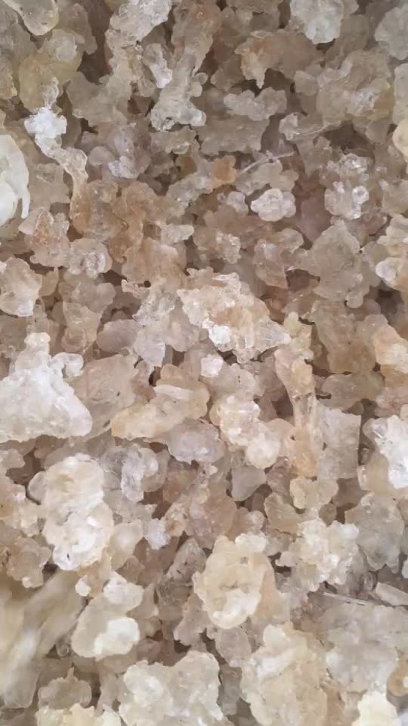 缅甸特级拉丝雪燕产地直销