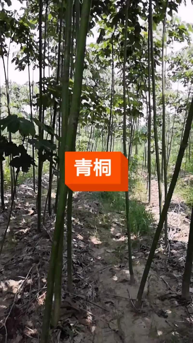 青铜
