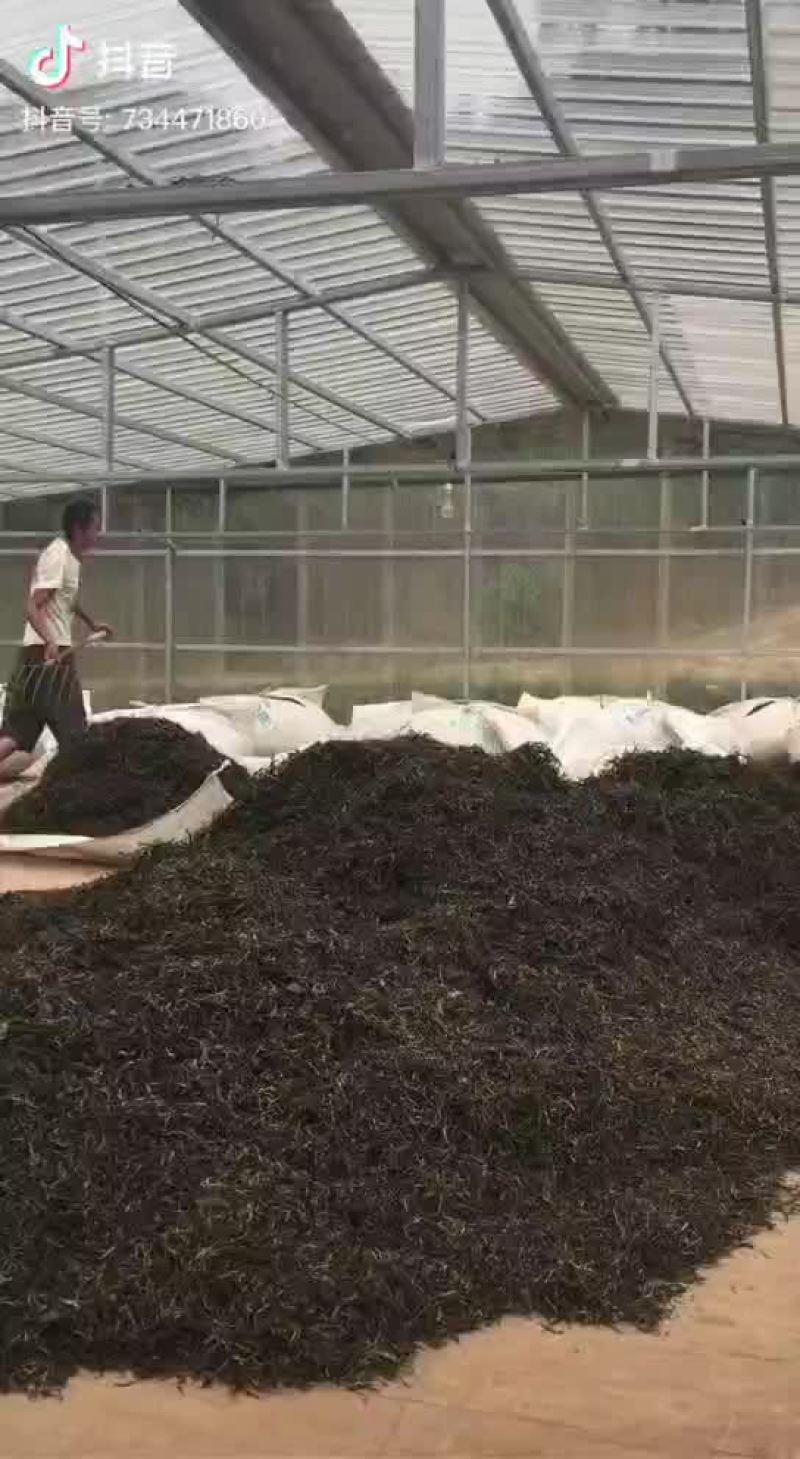 普洱茶
