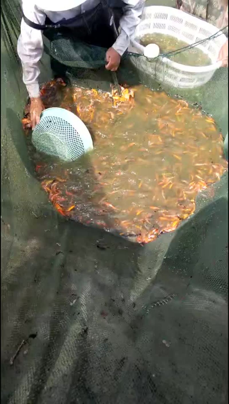 水产