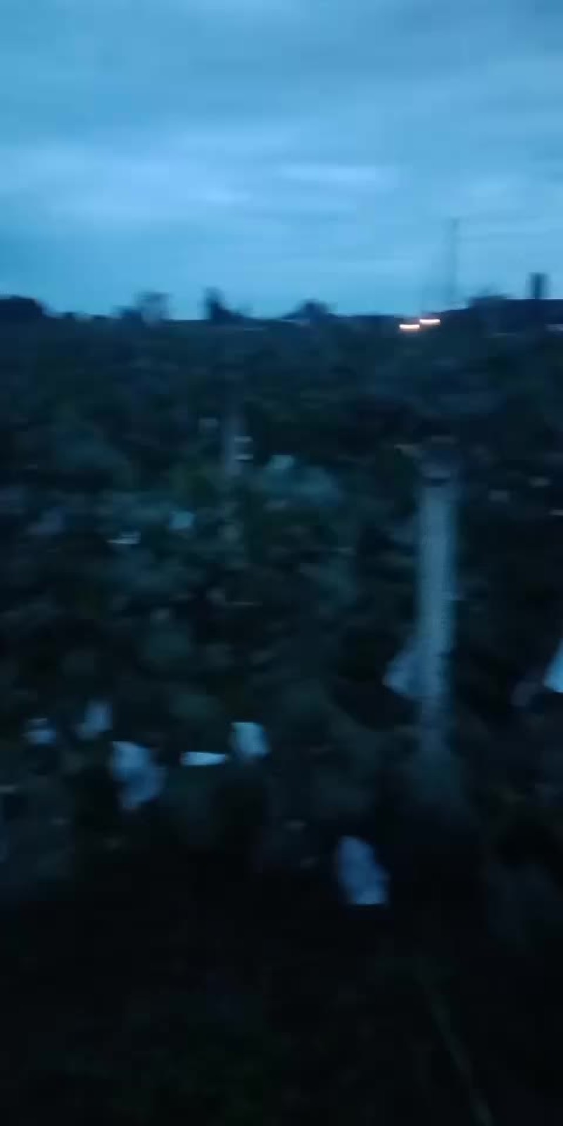 巨蜂葡萄，千亩基地，一斤半以上，精选
