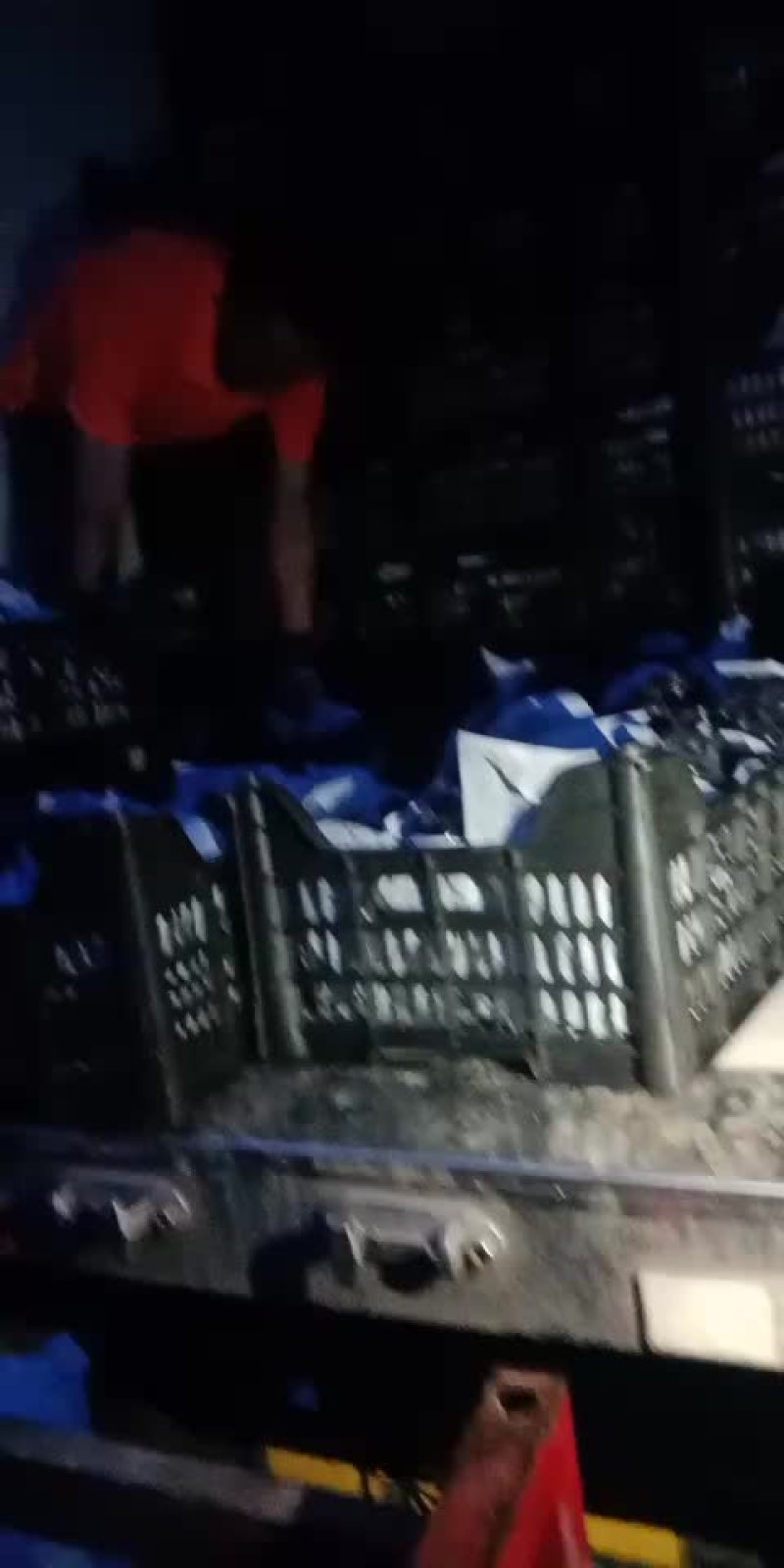 巨蜂葡萄，千亩基地，一斤半以上，精选