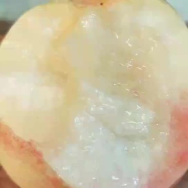 桃子
