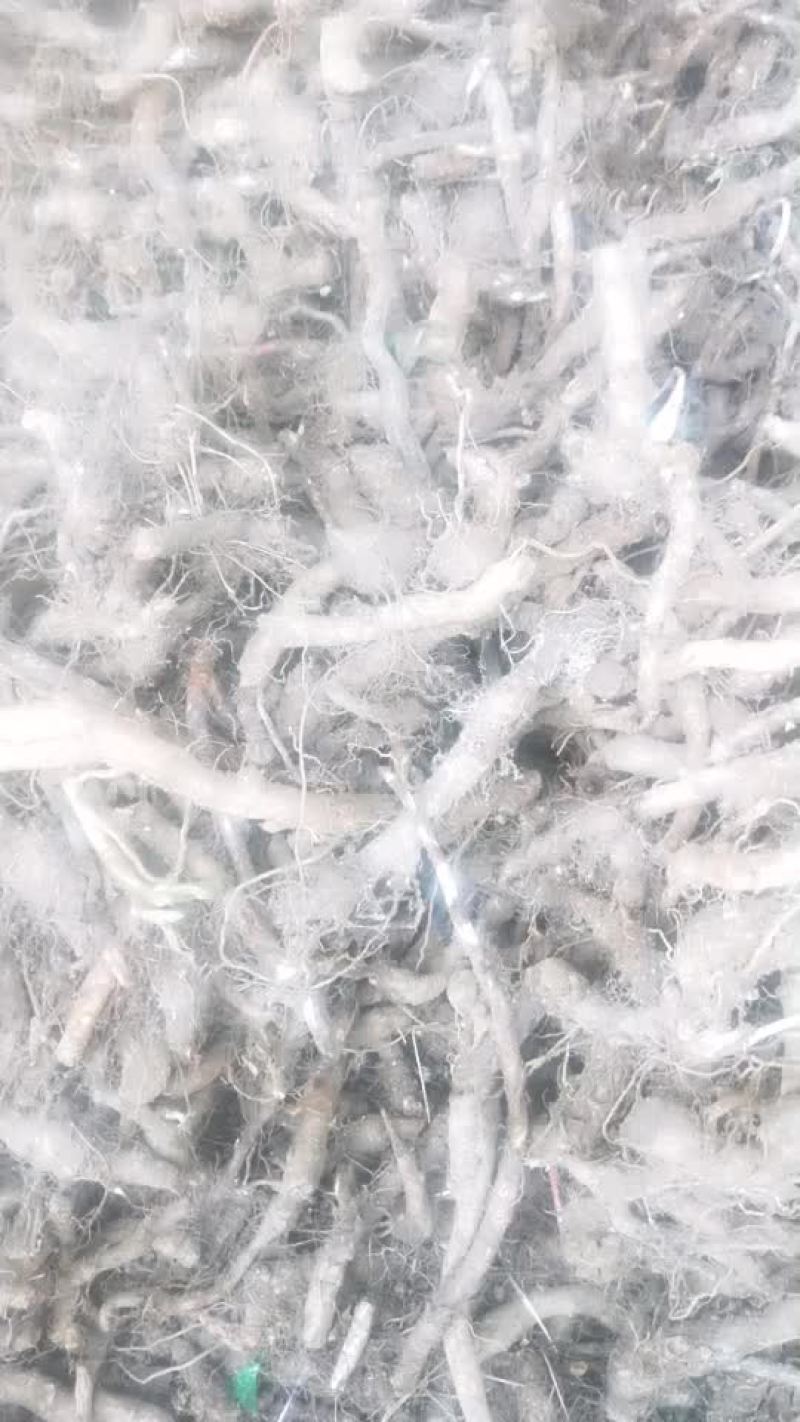岩砣