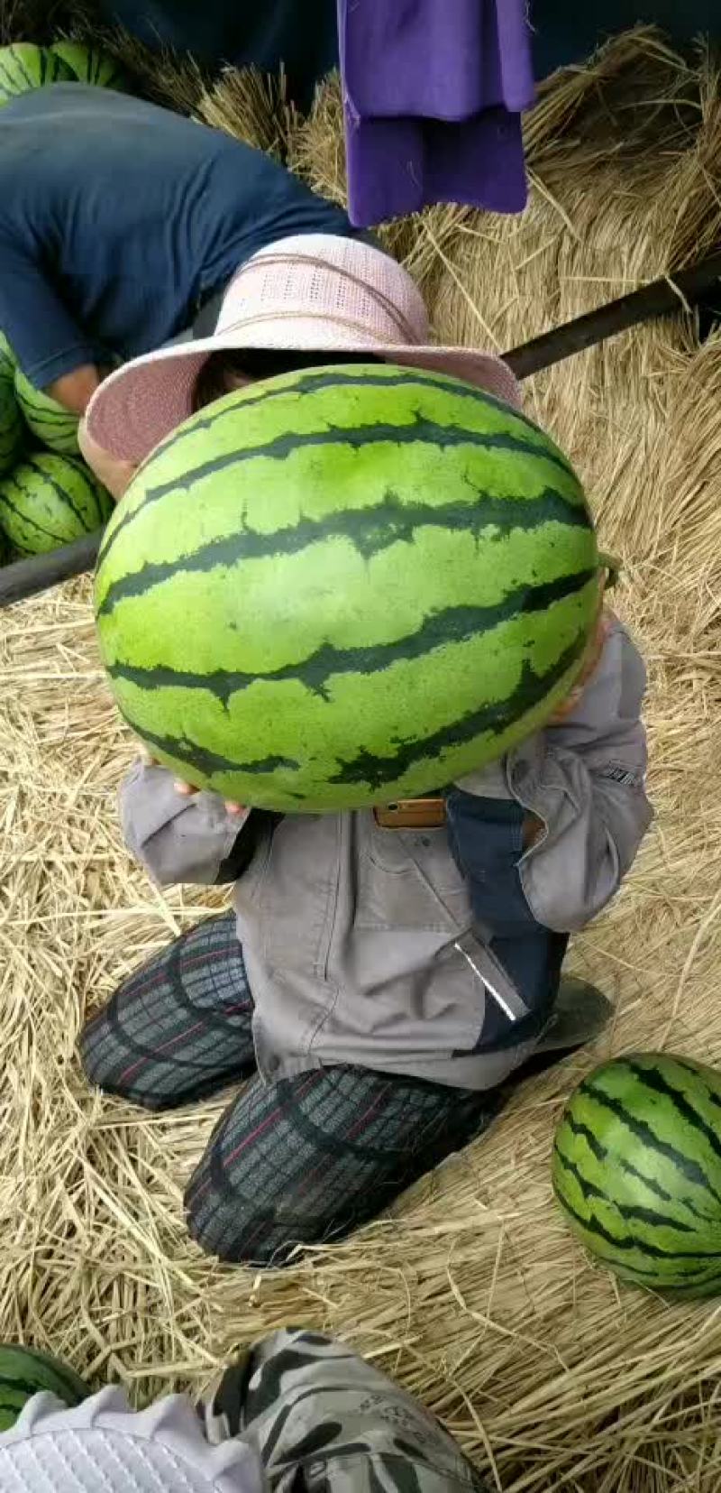 西瓜