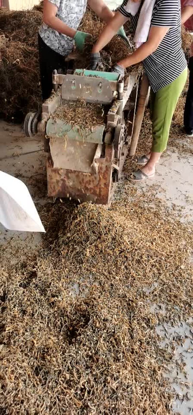 干豆角段