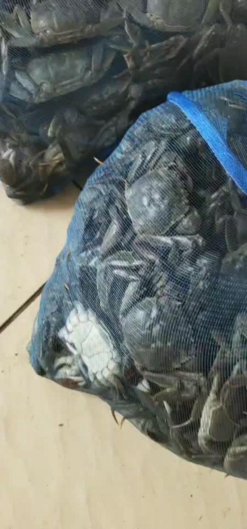 大闸蟹