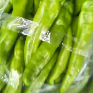 辣椒