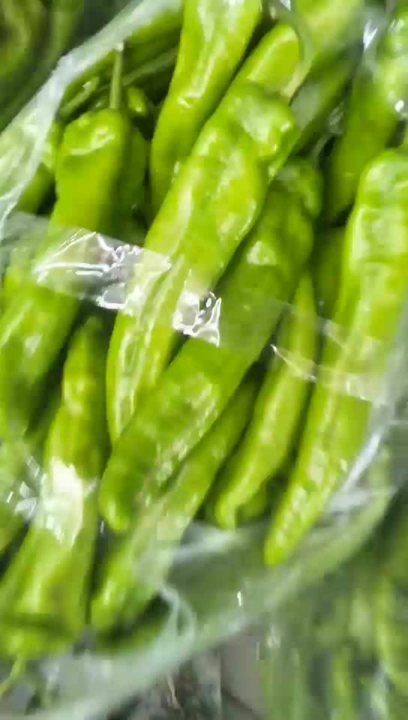 辣椒