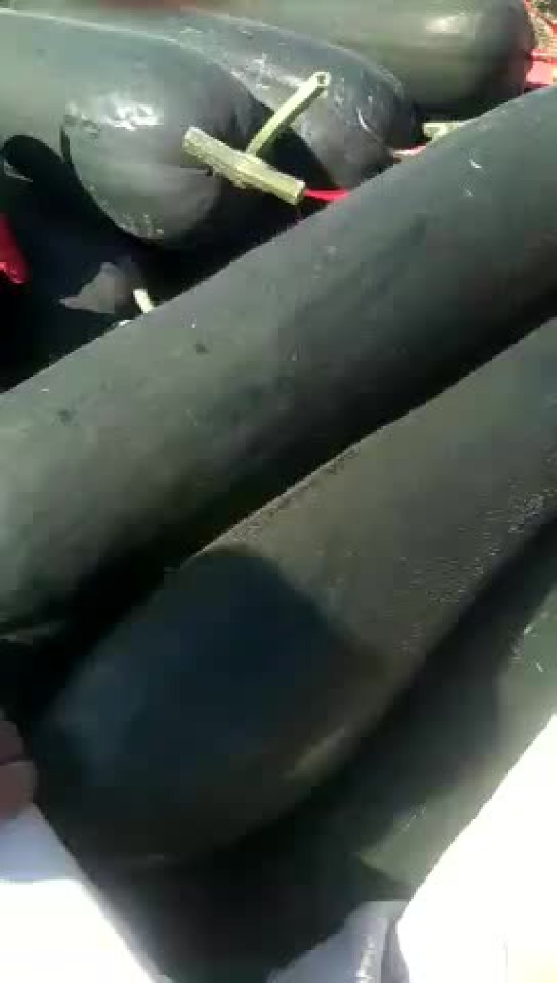 黑皮冬瓜