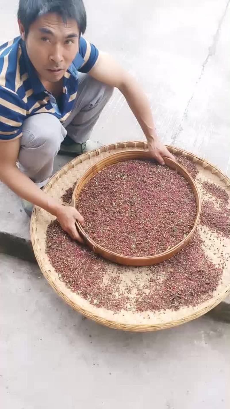汉源花椒