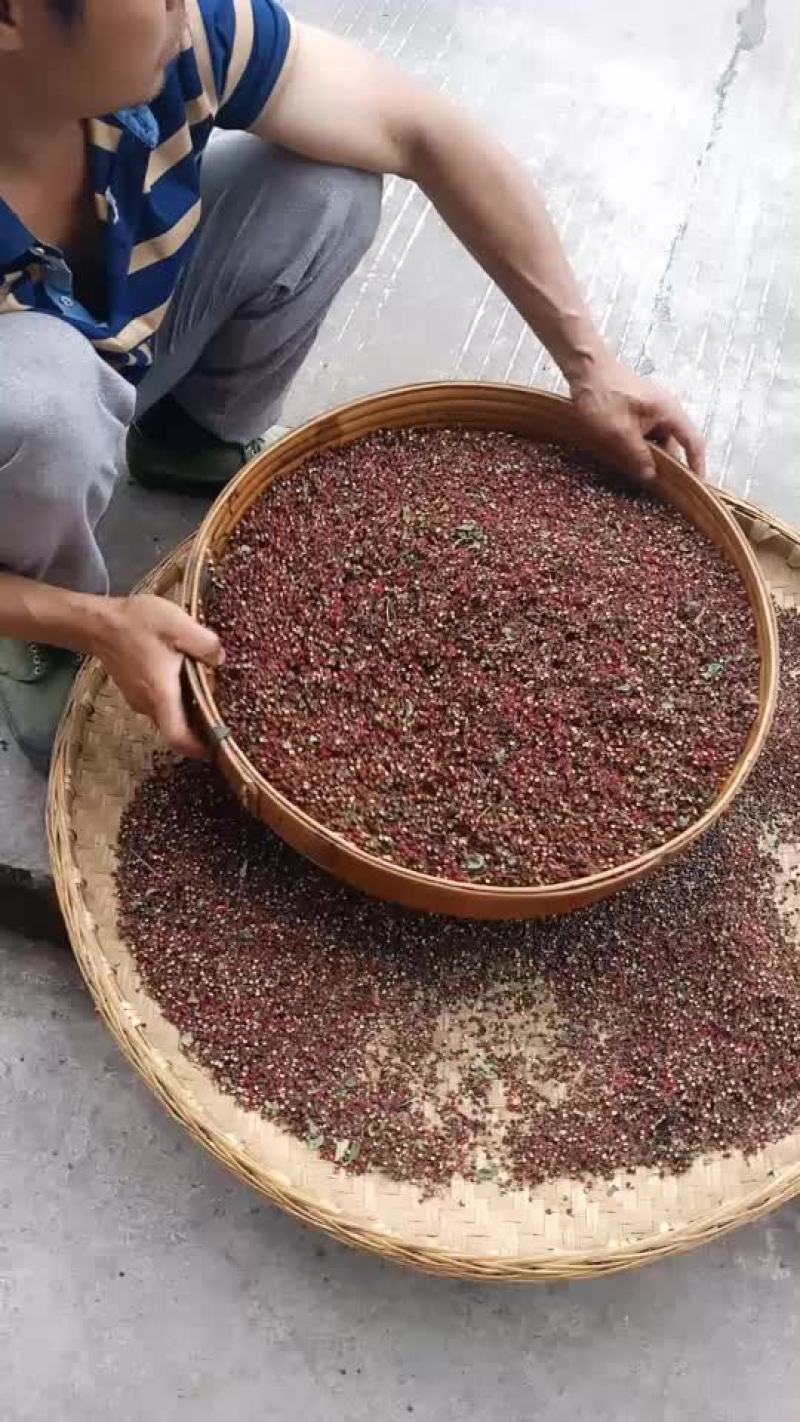 汉源花椒