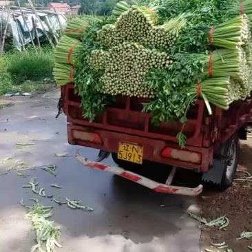 润丰蔬菜货站
