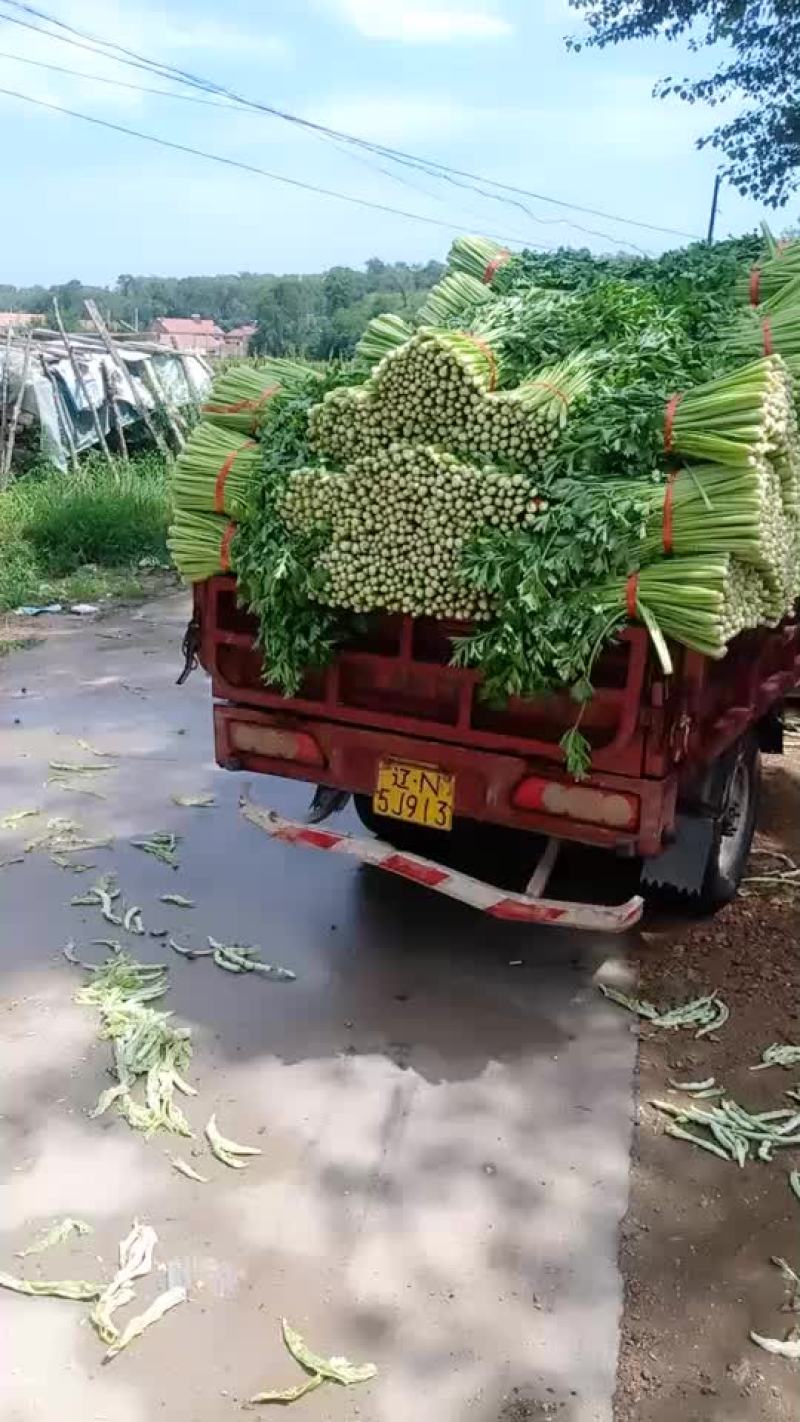润丰蔬菜货站