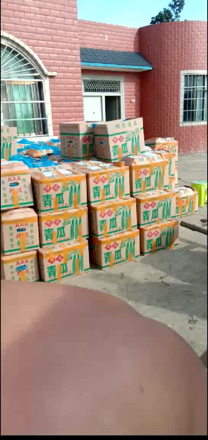 黄瓜