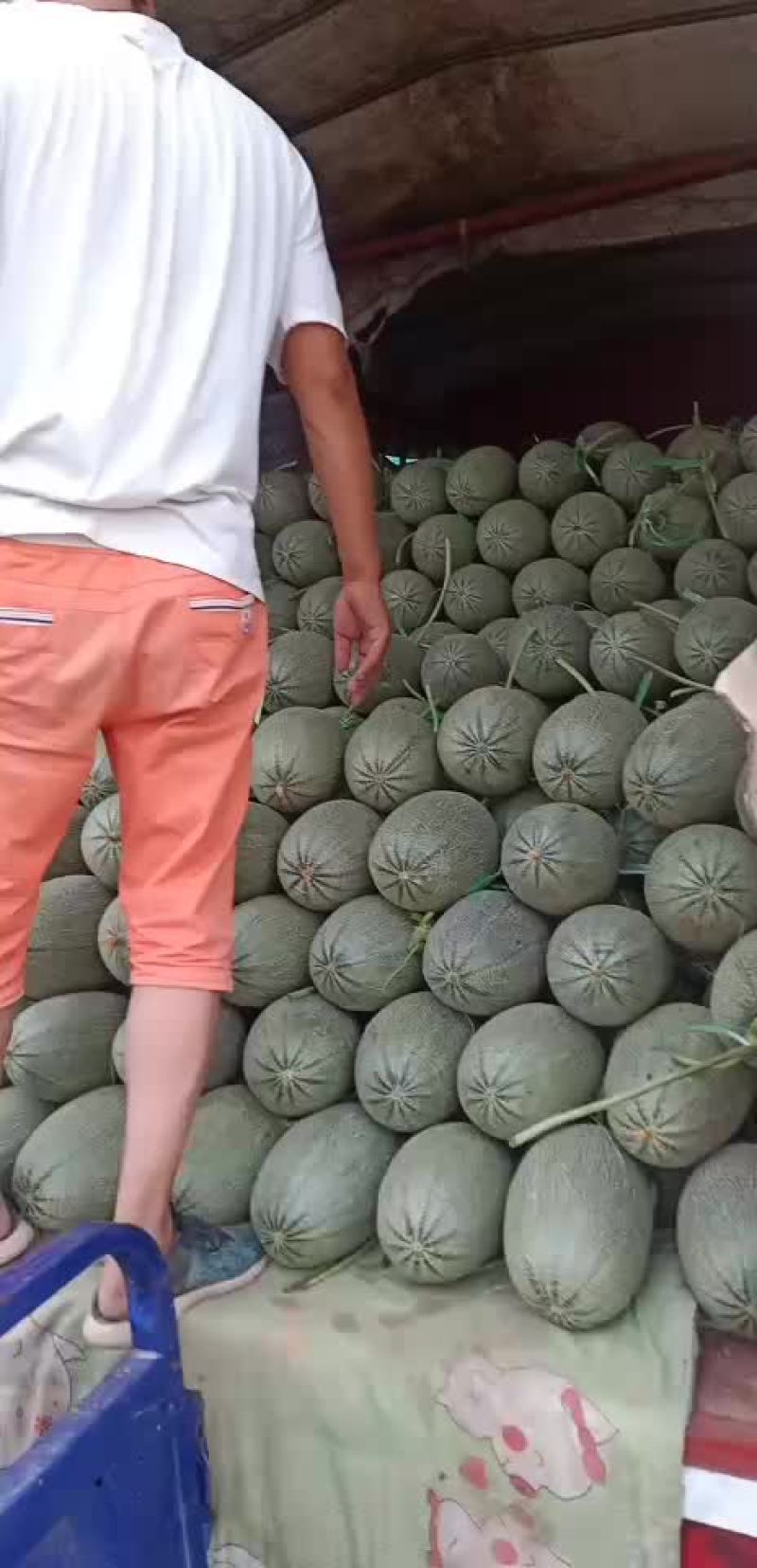 西周蜜