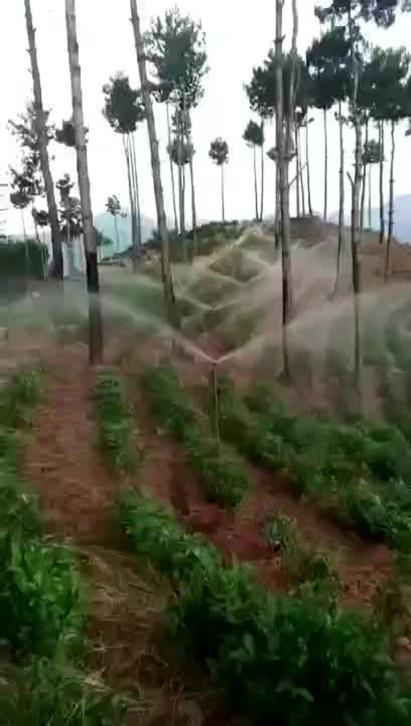 滴灌，喷灌