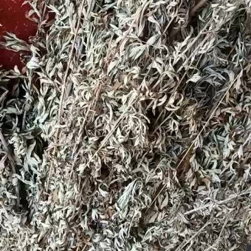 大量供应纯野生干艾叶