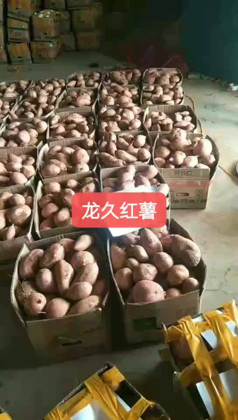 龙久红薯