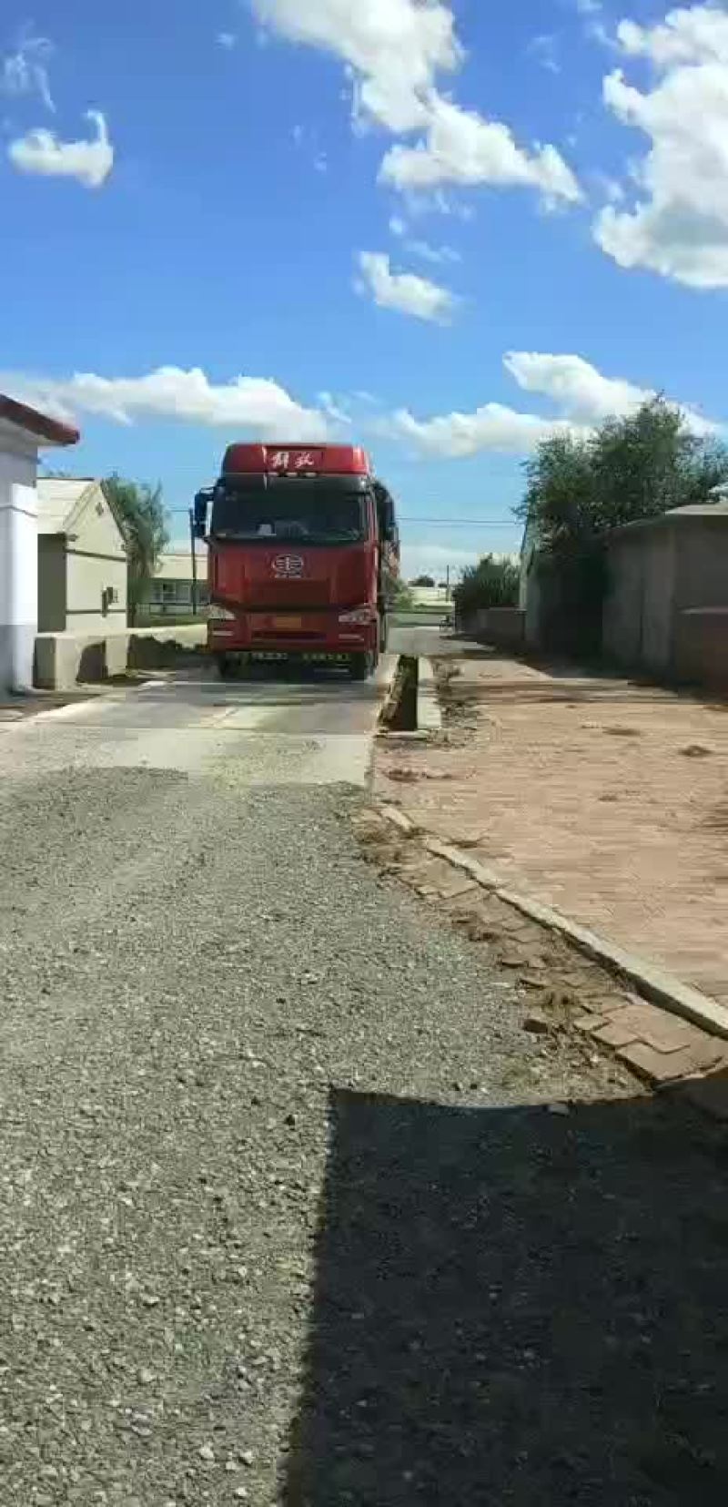金城五，内蒙沙漠瓜
