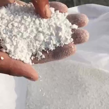 淀粉马铃薯淀粉颗粒生粉