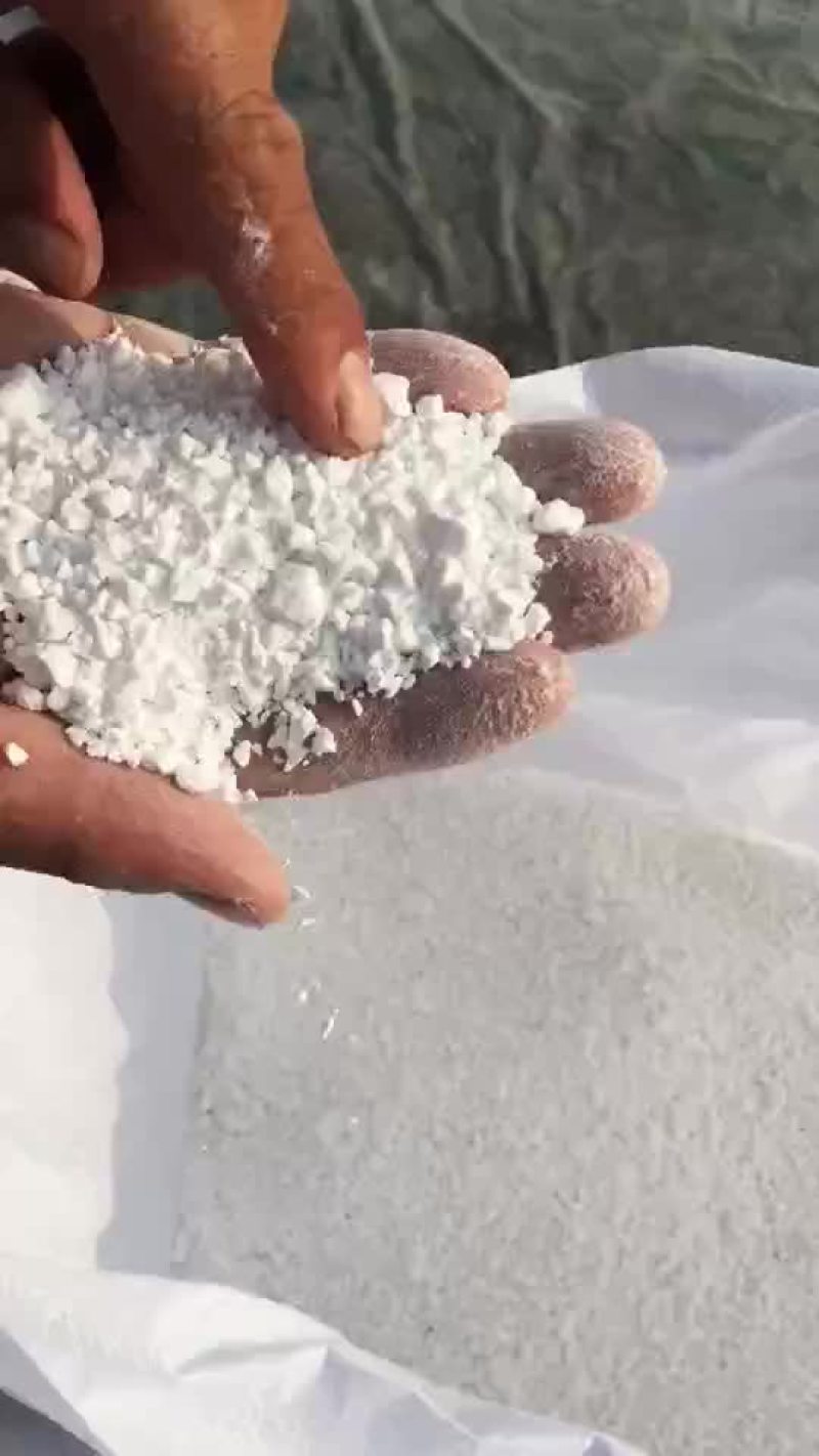淀粉马铃薯淀粉颗粒生粉