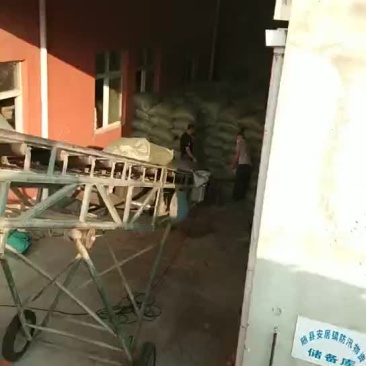优质稻壳厂家直销，欢迎各位老板前来订购合作