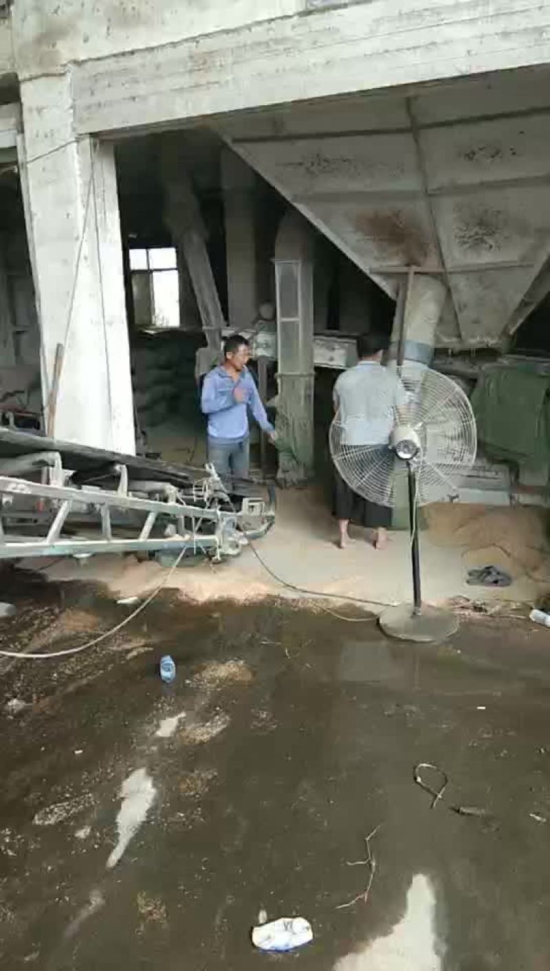 优质稻壳厂家直销，欢迎各位老板前来订购合作