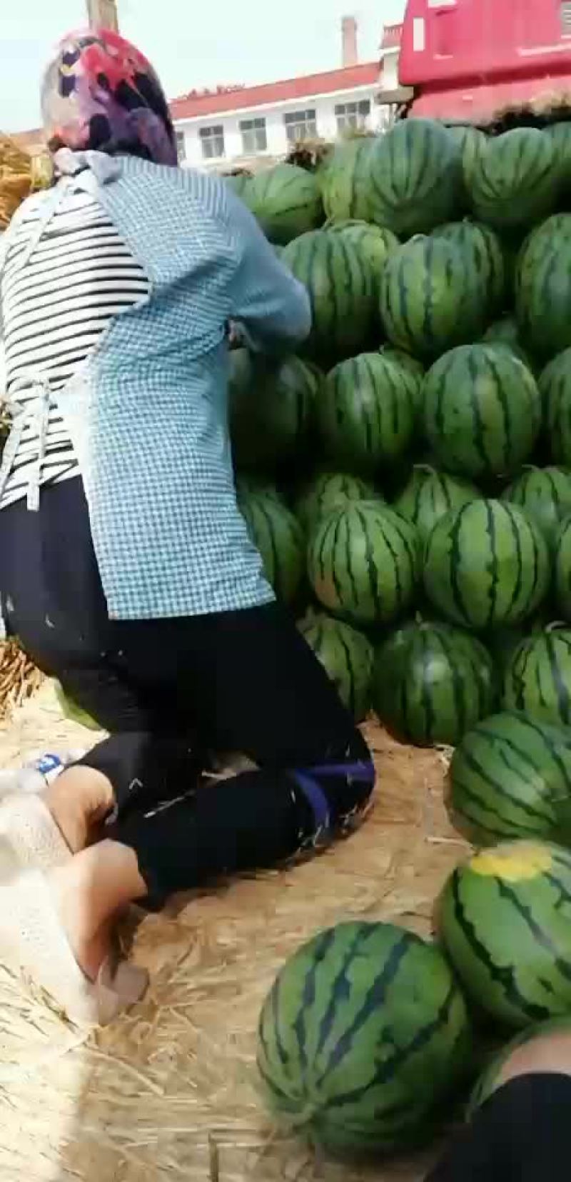 西瓜999地雷王