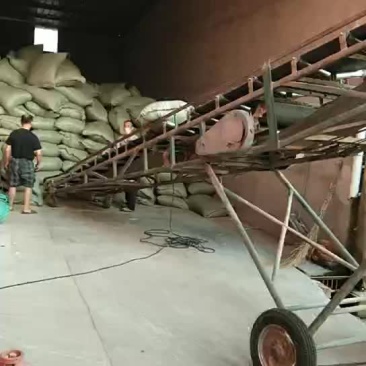 优质稻壳厂家直销，有需要的联系，保证质量