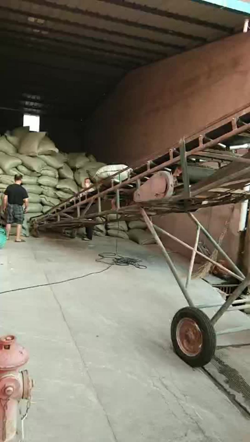 优质稻壳厂家直销，有需要的联系，保证质量