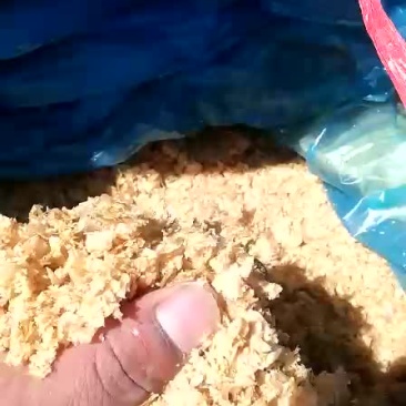 发酵玉米纤维