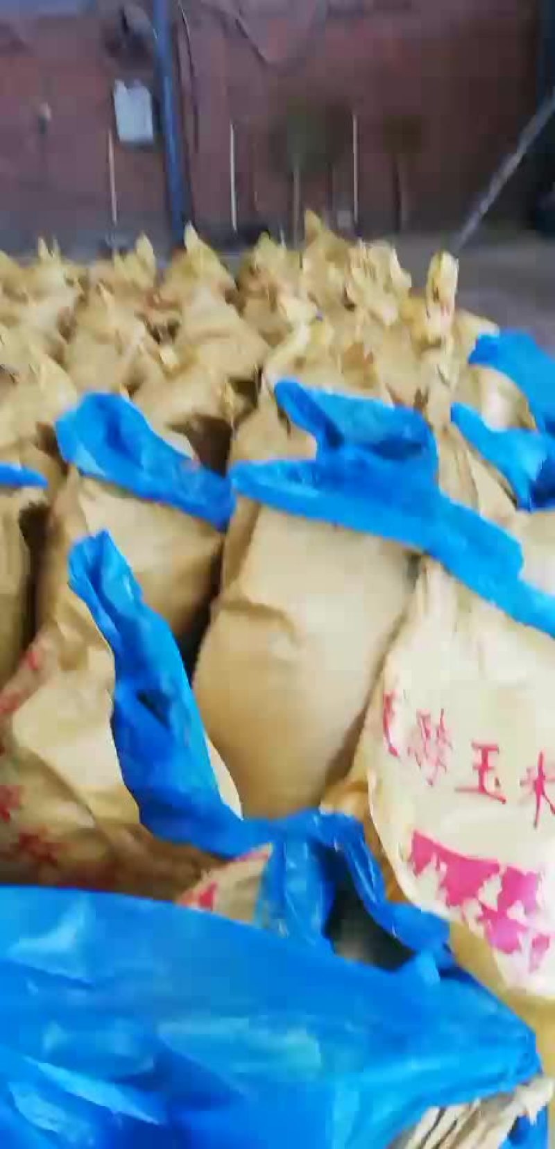 发酵玉米纤维