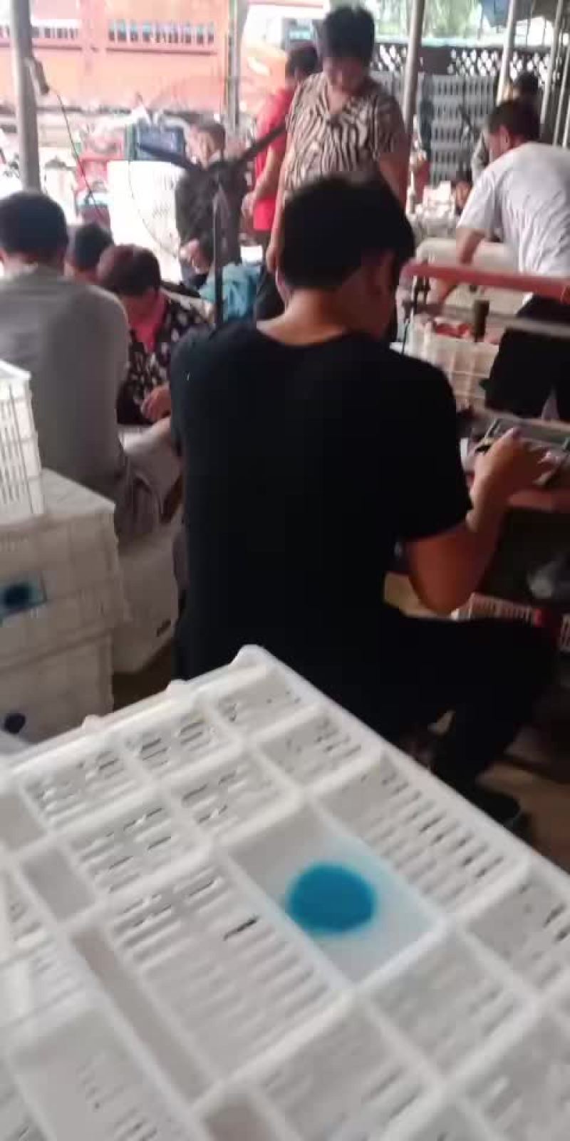 红桃红岗山