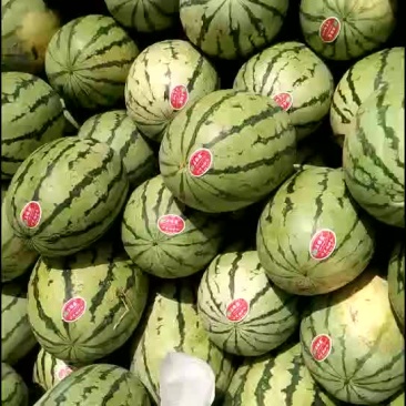 西瓜