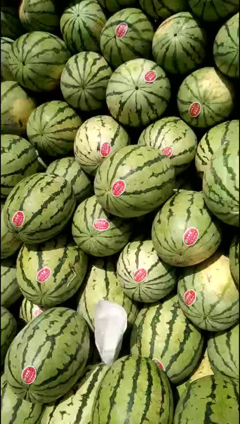 西瓜