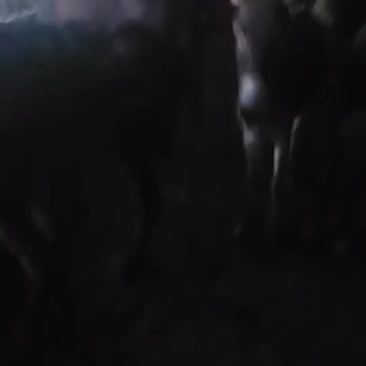 肉马