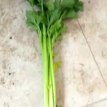芹菜