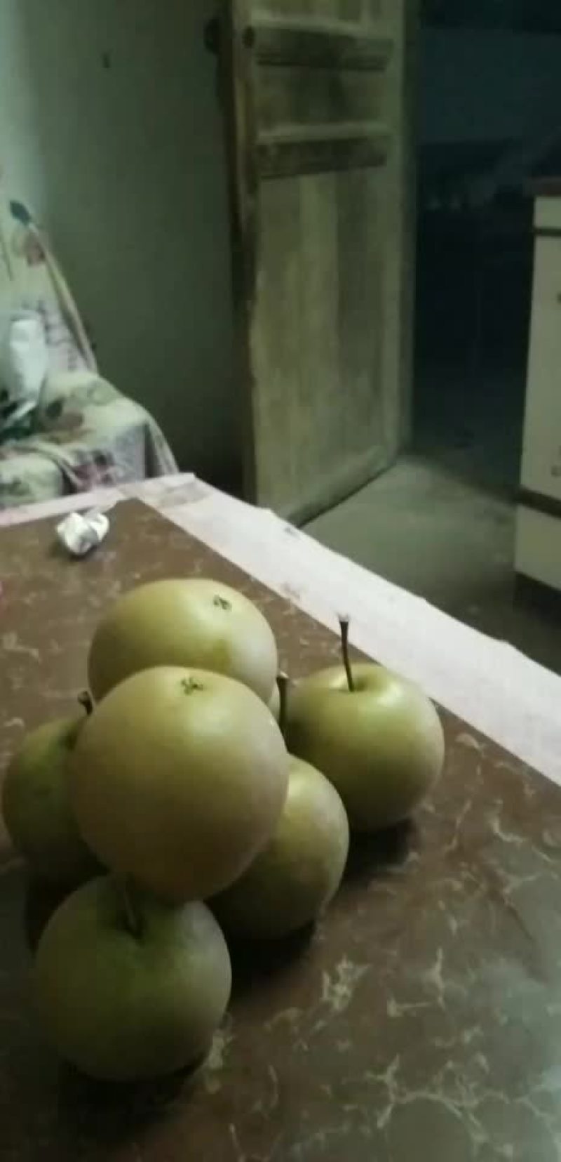 大量梨子预售需要的联系一三四六九七三一零三六