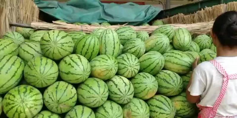 【热销中】宁夏硒砂瓜大量上市口感甜皮色漂亮