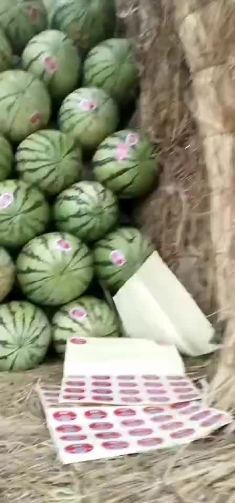【热销中】宁夏硒砂瓜大量上市口感甜皮色漂亮