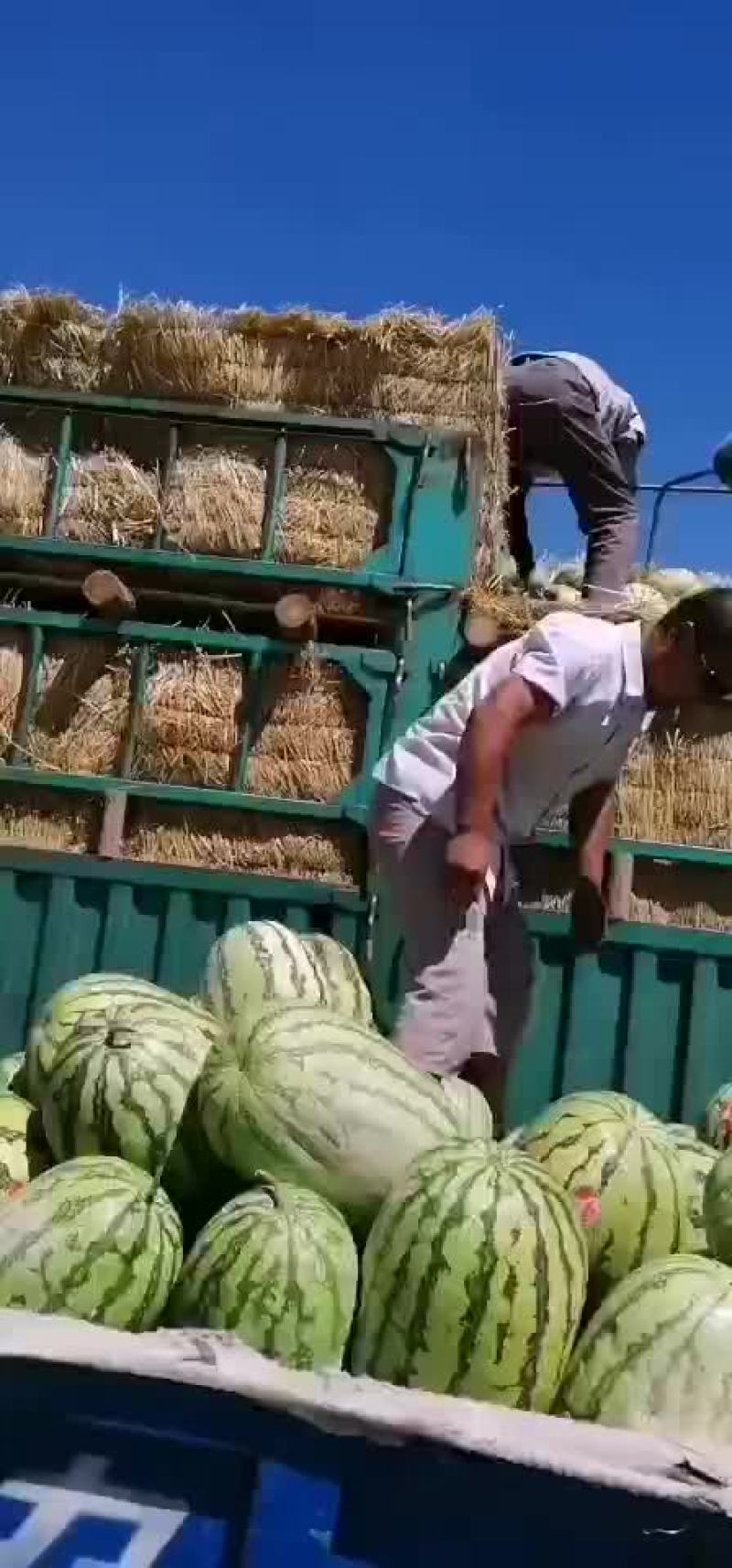【热销中】宁夏硒砂瓜大量上市口感甜皮色漂亮