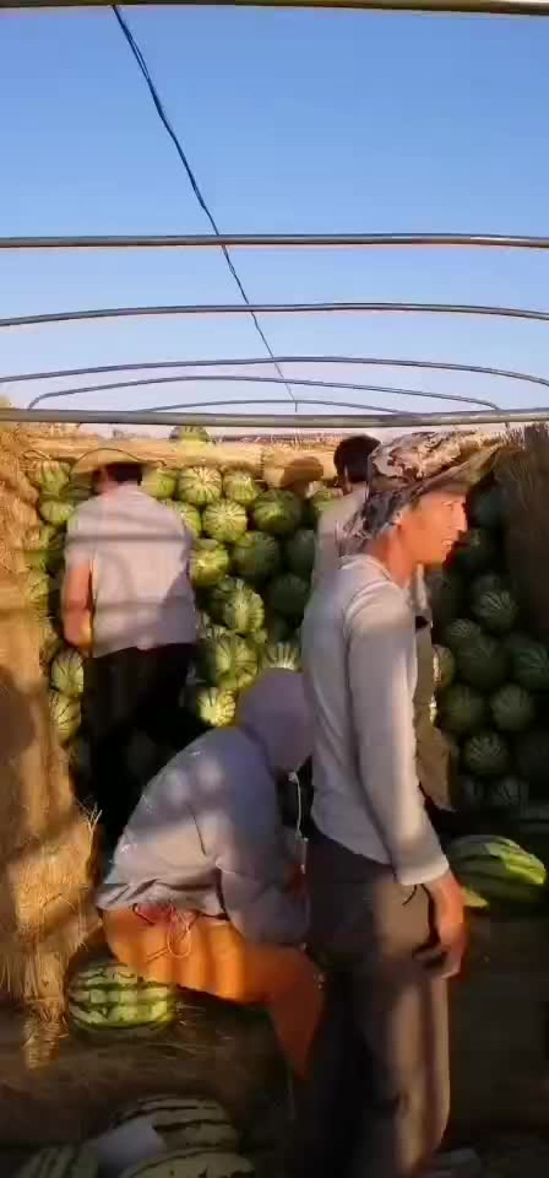 【热销中】宁夏硒砂瓜大量上市口感甜皮色漂亮