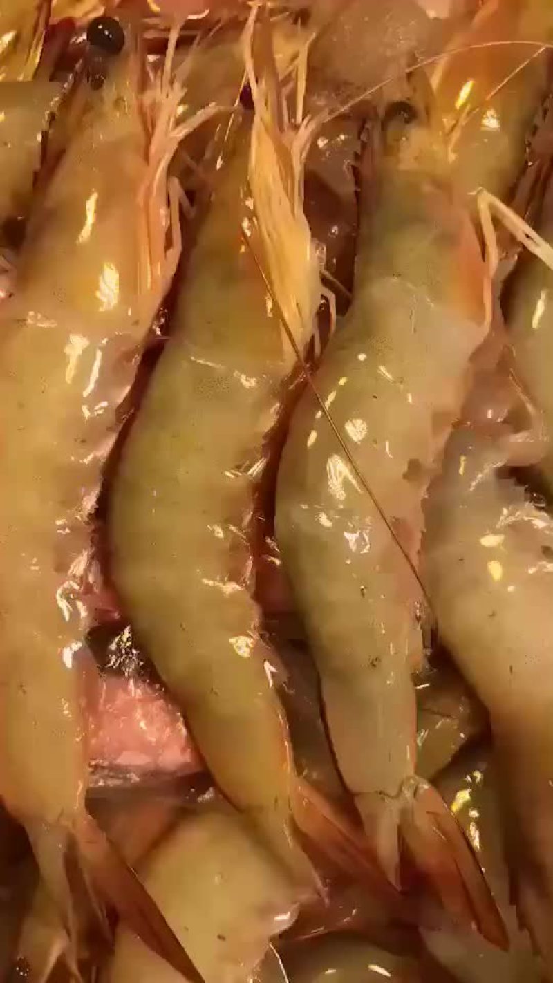 白虾